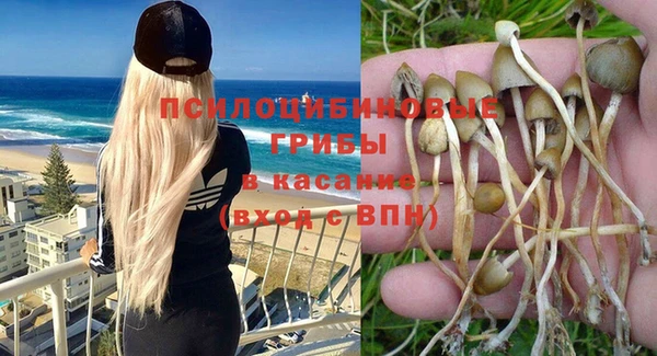соль ск Алексеевка