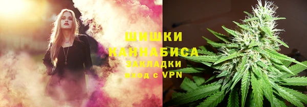 соль ск Алексеевка