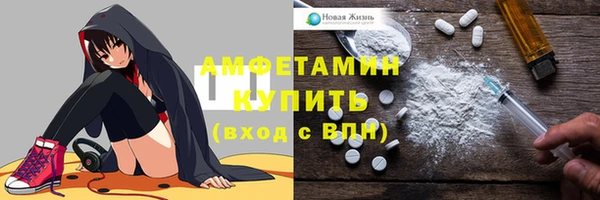 гашик Алексин