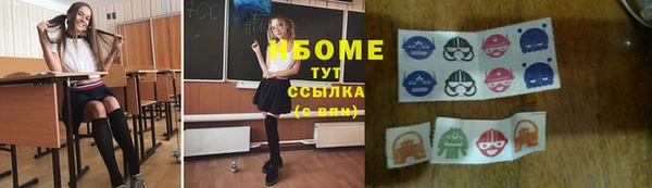 гашик Алексин