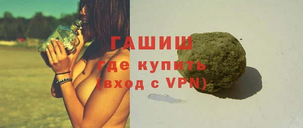гашик Алексин