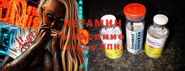 гашик Алексин