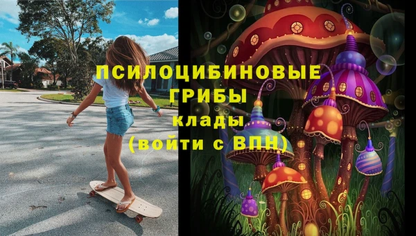 гашик Алексин