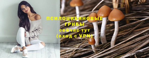 шишки Алзамай