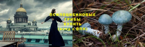 соль ск Алексеевка