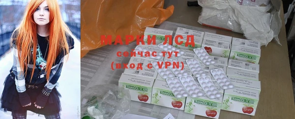 гашик Алексин