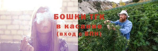 гашик Алексин