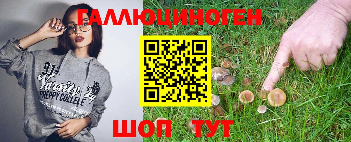 Добрянка  Псилоцибиновые грибы Psilocybe  Вход с VPN 